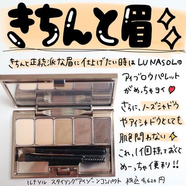 スタイリングアイゾーンコンパクト 01 Natural Brown/LUNASOL/アイシャドウパレットを使ったクチコミ（1枚目）