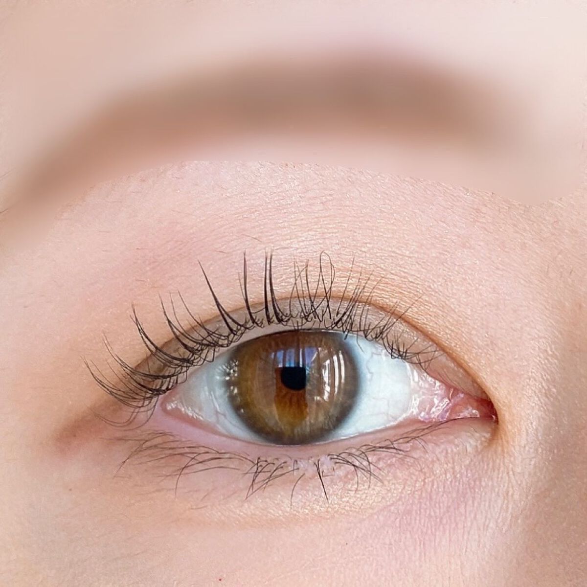 【旧】サンク クルール クチュール/Dior/アイシャドウパレットを使ったクチコミ(5枚目)