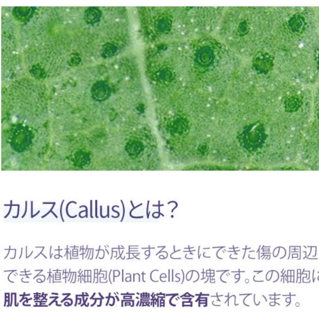 シーホリー ウォーター ポンピング エマルジョン /Carenology95/乳液を使ったクチコミ(6枚目)