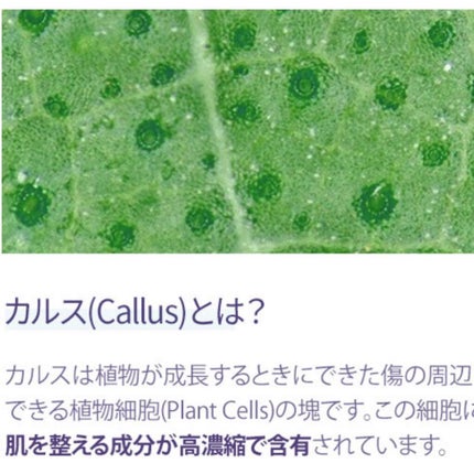 シーホリー ウォーター ポンピング エマルジョン /Carenology95/乳液を使ったクチコミ(6枚目)