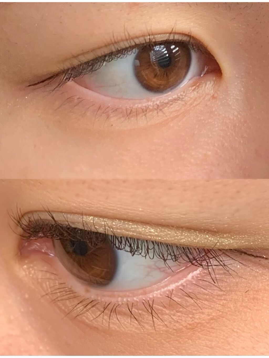 トーン ペタル アイシャドウ/to/one/アイシャドウパレットを使ったクチコミ(4枚目)