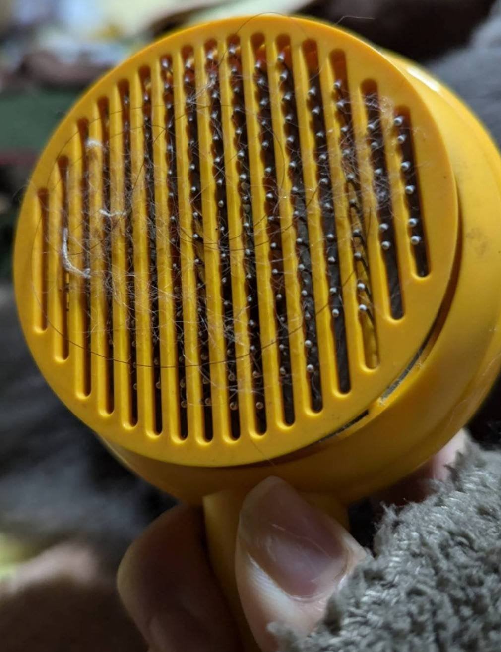 hilts on LIPS 「猫さまにも美容を!と思い猫用ブラシを使っています。かなり気持ち..」(3枚目)