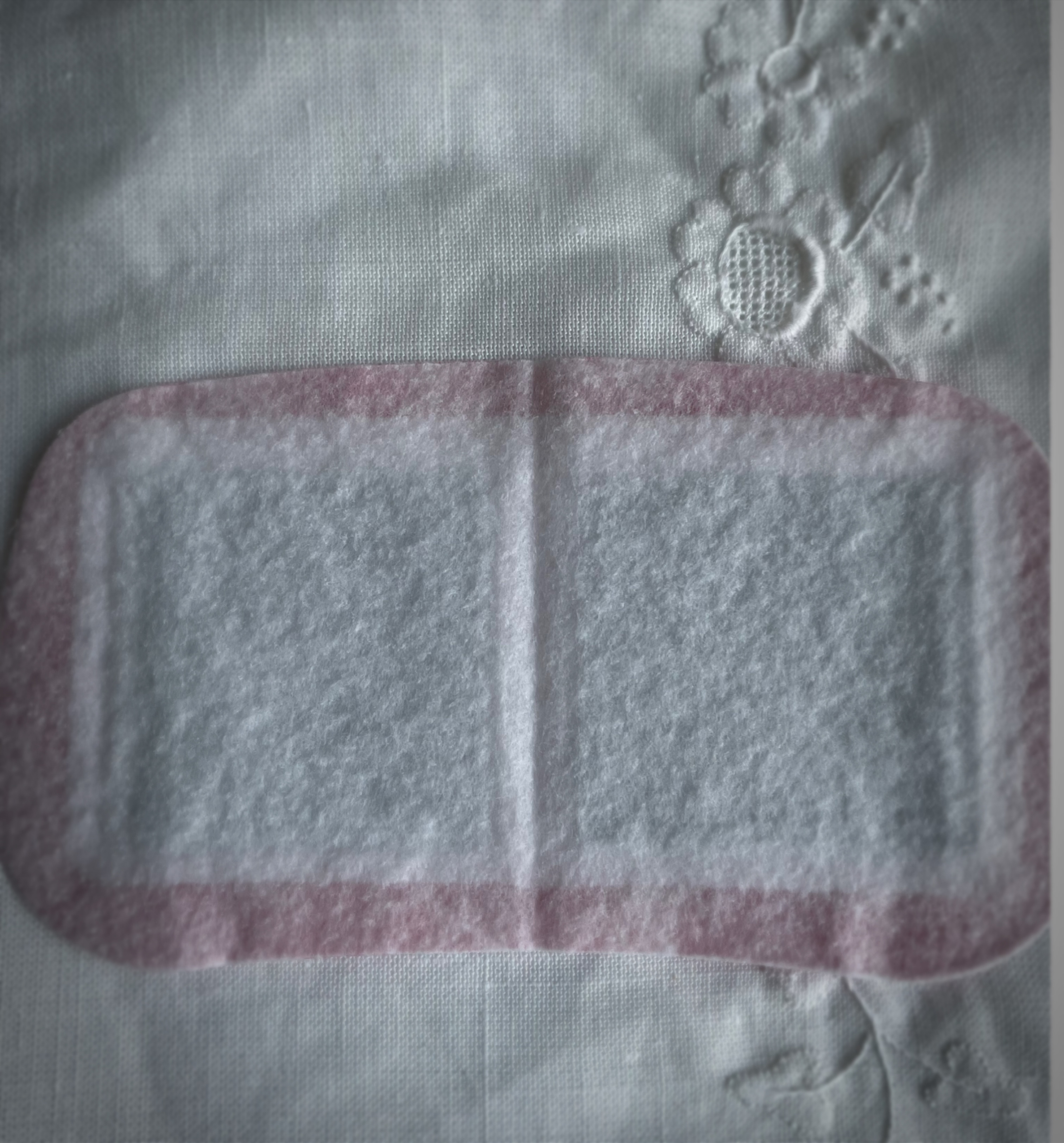 蒸気の温熱シート 下着の内側面に貼るタイプ/めぐりズム/その他を使ったクチコミ（3枚目）