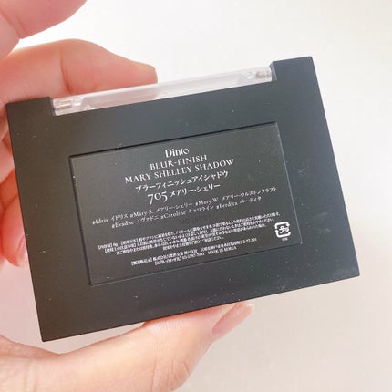 ブラーフィニシュシャドウパレット/Dinto/アイシャドウパレットを使ったクチコミ(9枚目)