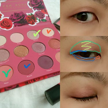 Fem Rosa Karrueche - Pressed Powder Shadow Palette - She/ColourPop/アイシャドウパレットを使ったクチコミ（3枚目）