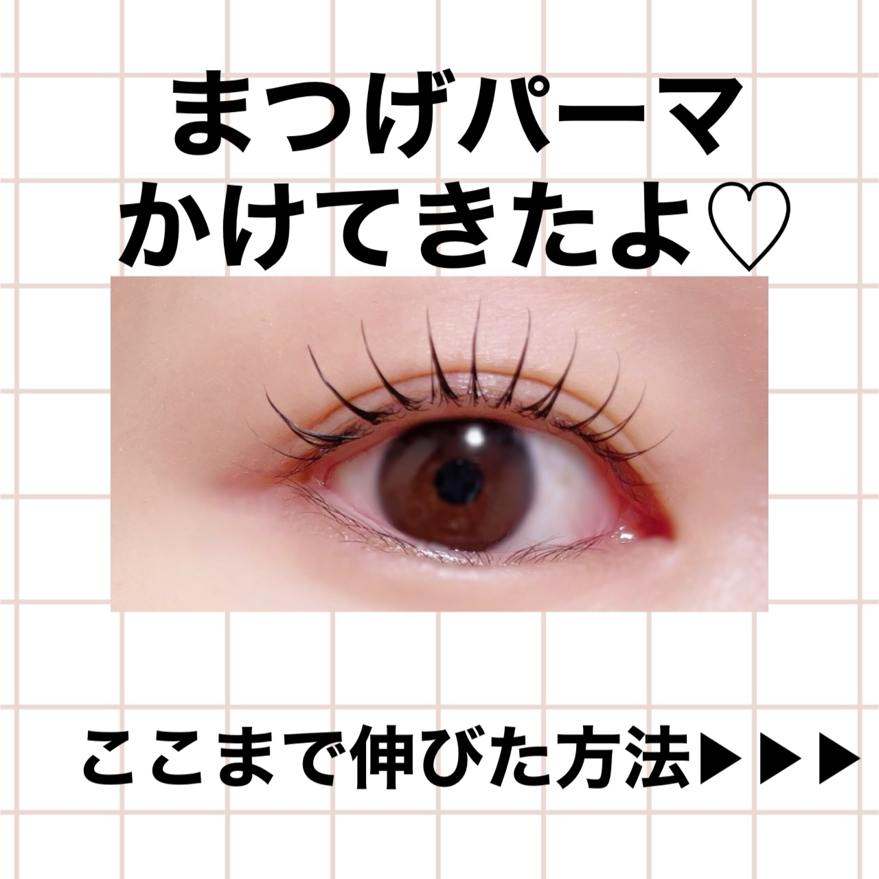 ラッシュアディクト アイラッシュコンディショニングセラム/soaddicted/まつげ美容液を使ったクチコミ（1枚目）