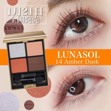 アイカラーレーション 14 Amber Dusk/LUNASOL/アイシャドウパレットを使ったクチコミ(1枚目)