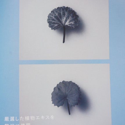 HIK セラム/HIK/美容液を使ったクチコミ(7枚目)