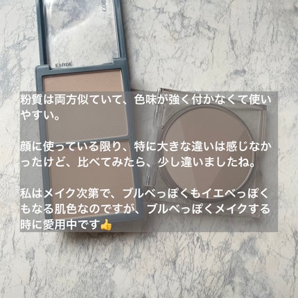 インクブイシェーディング/PERIPERA/シェーディングを使ったクチコミ(9枚目)