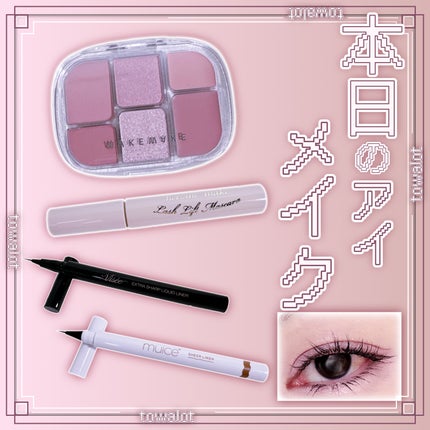 シリライナー/muice/リキッドアイライナーを使ったクチコミ(1枚目)