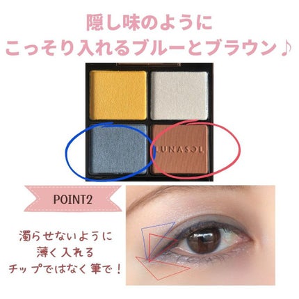 maiasagi on LIPS 「今日は#LUNASOL #アイカラーレーションを使った#冬メイ..」(5枚目)