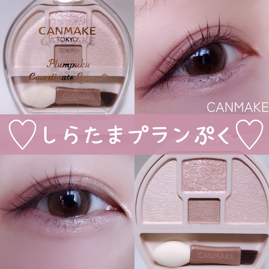 プランぷくコーデアイズNeo/キャンメイク/アイシャドウを使ったクチコミ（1枚目）
