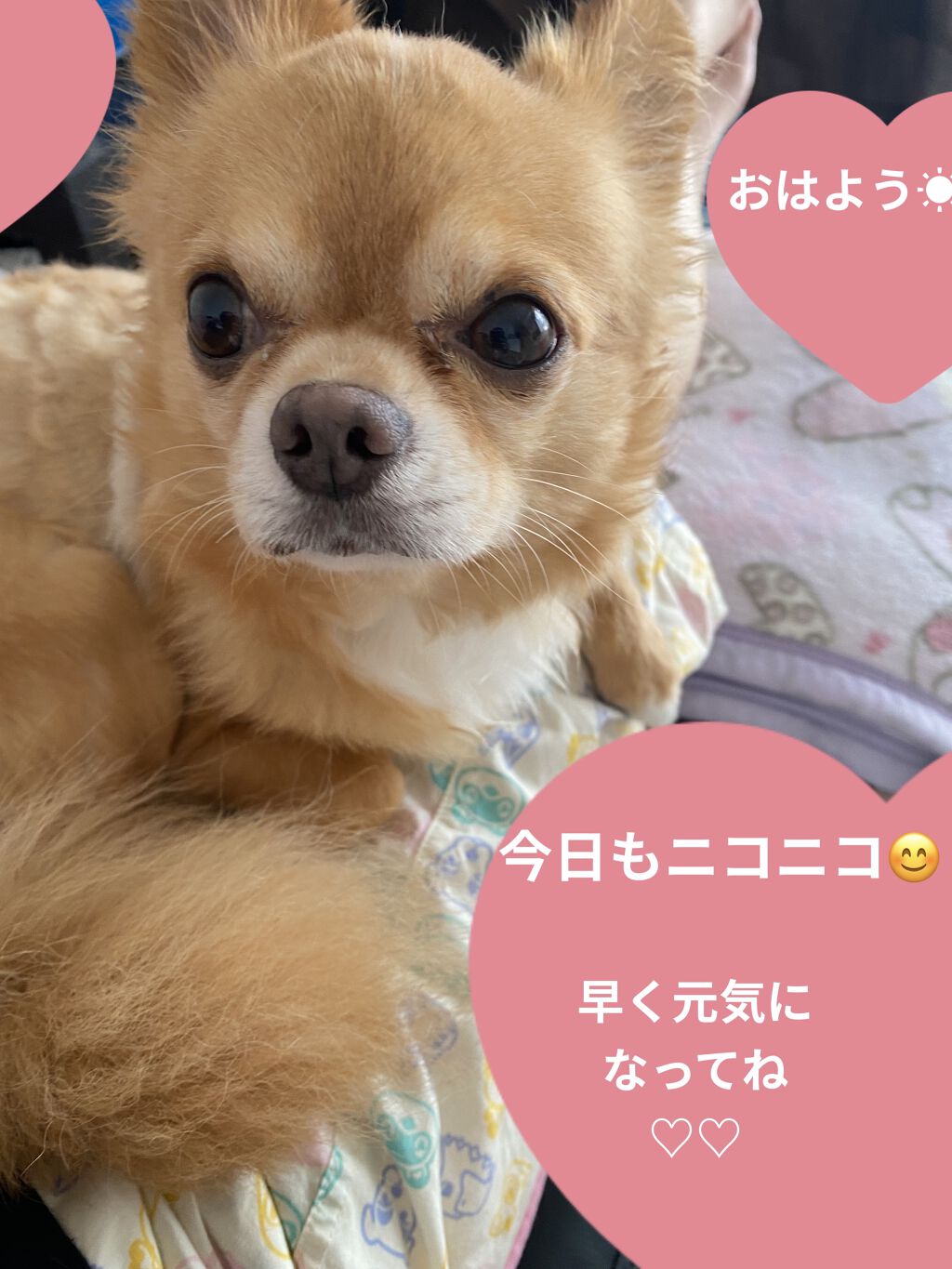 アルフェ ネオ/アルフェ/栄養ドリンクを使ったクチコミ（3枚目）