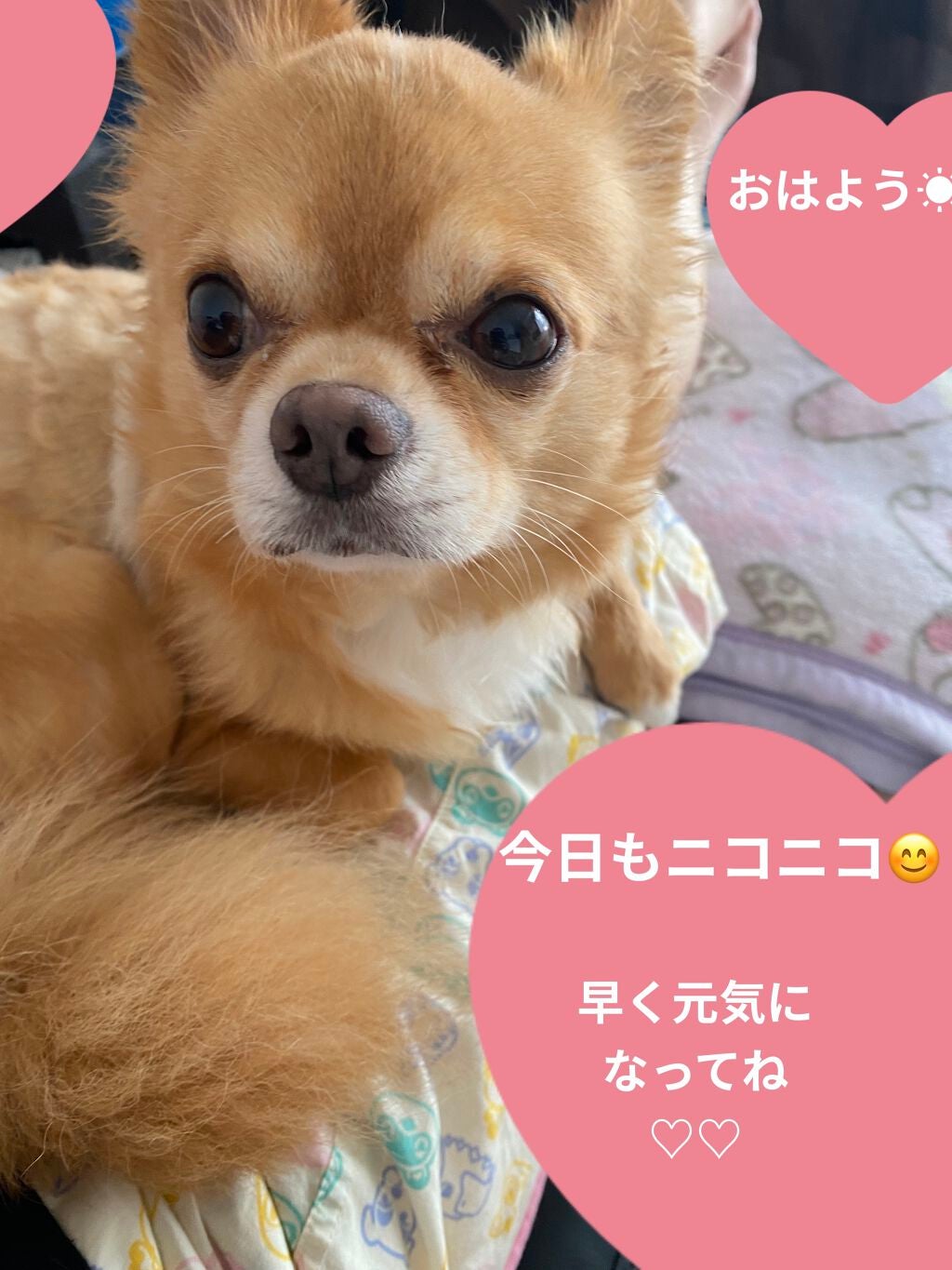 アルフェミニ/アルフェ/美容ドリンクを使ったクチコミ(3枚目)