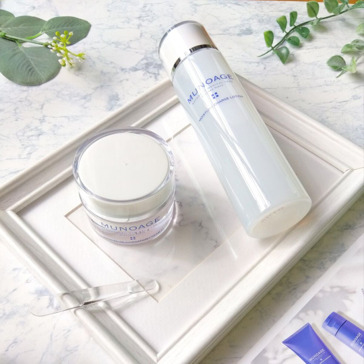 モイスチュアチャージローション/MUNOAGE(ミューノアージュ)/化粧水を使ったクチコミ(4枚目)
