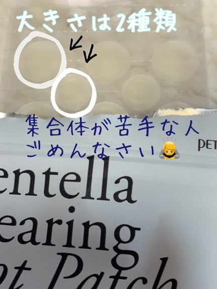 を使ったクチコミ(2枚目)