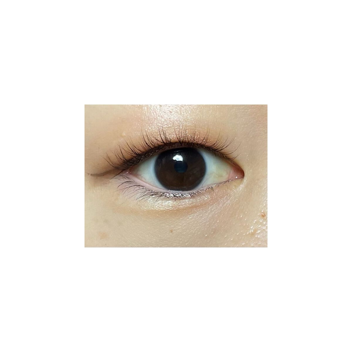 ミネラルクラッシィシャドー/エトヴォス/アイシャドウパレットを使ったクチコミ（2枚目）