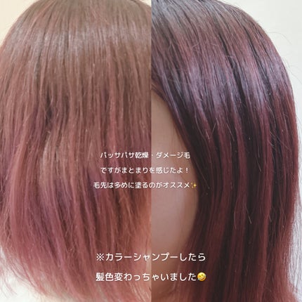 ヘアエッセンス/FIT YOUR SKIN/アウトバストリートメントを使ったクチコミ(3枚目)
