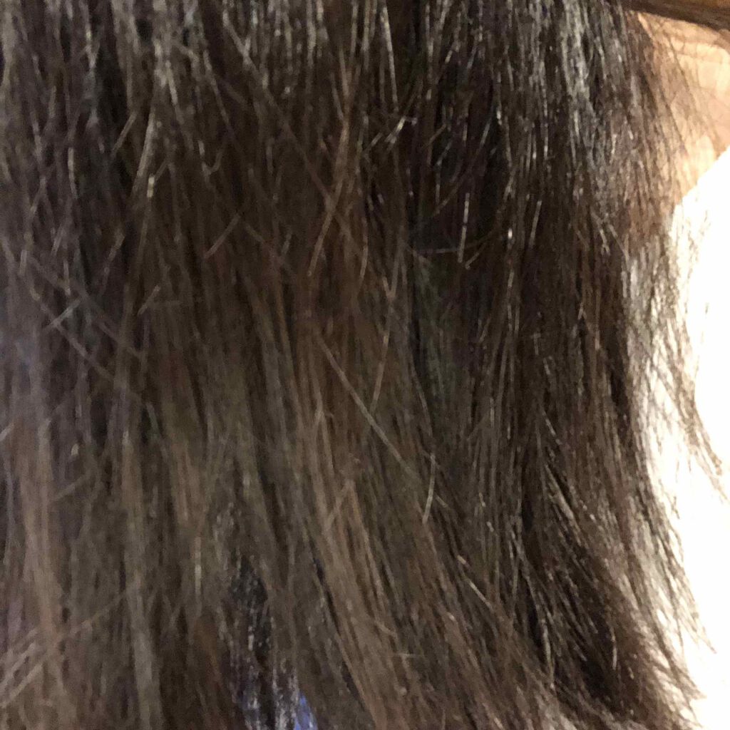 アルミック ヘアオイル/ABL/ヘアオイルを使ったクチコミ(2枚目)