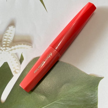 リシェ カラーリング アイブロウマスカラ/Visée/眉マスカラを使ったクチコミ(6枚目)