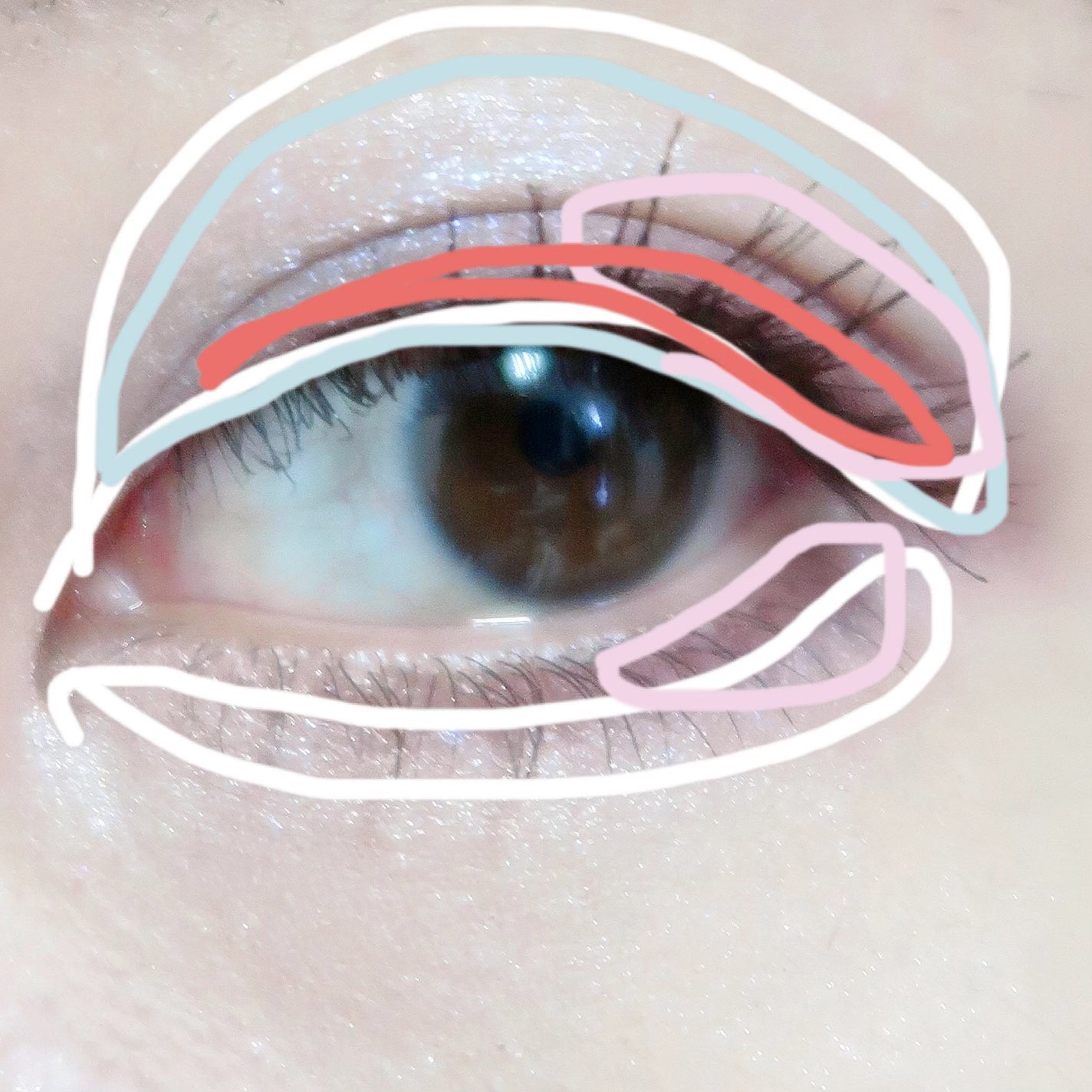 アイブロウ クリエイティブパレット/IPSA/パウダーアイブロウを使ったクチコミ(6枚目)