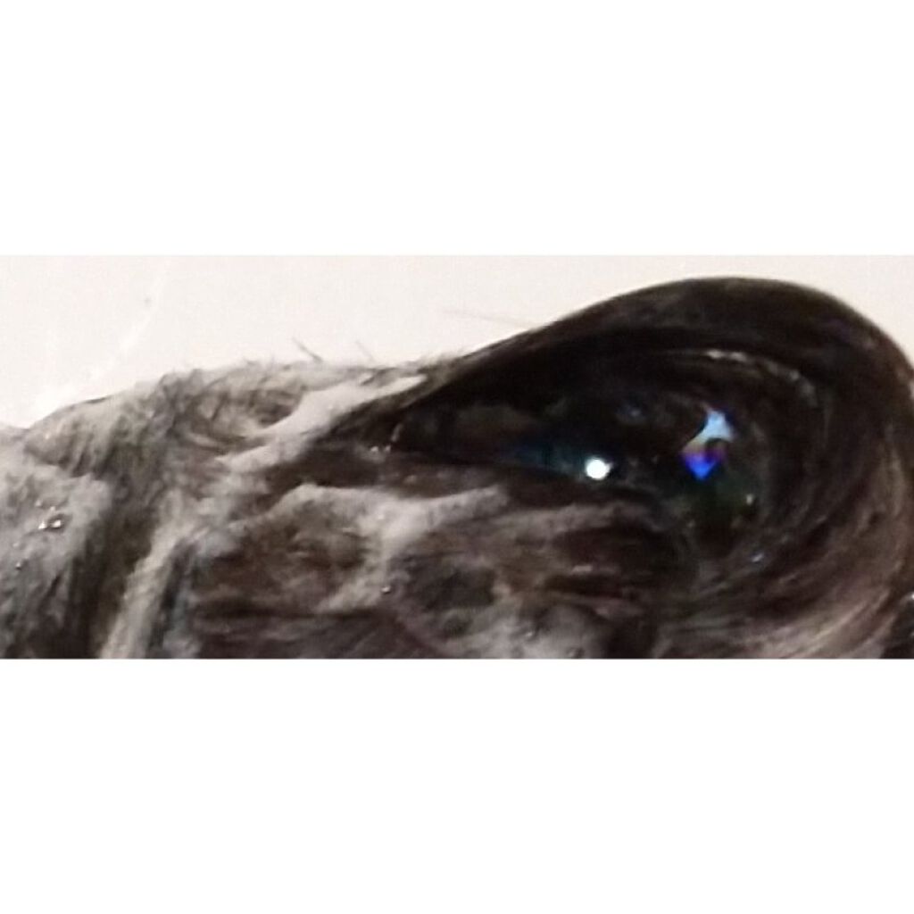 オーガニックジョセフィン シャンプー／トリートメント/ORGANIC JOSEFIN/市販シャンプーを使ったクチコミ（3枚目）