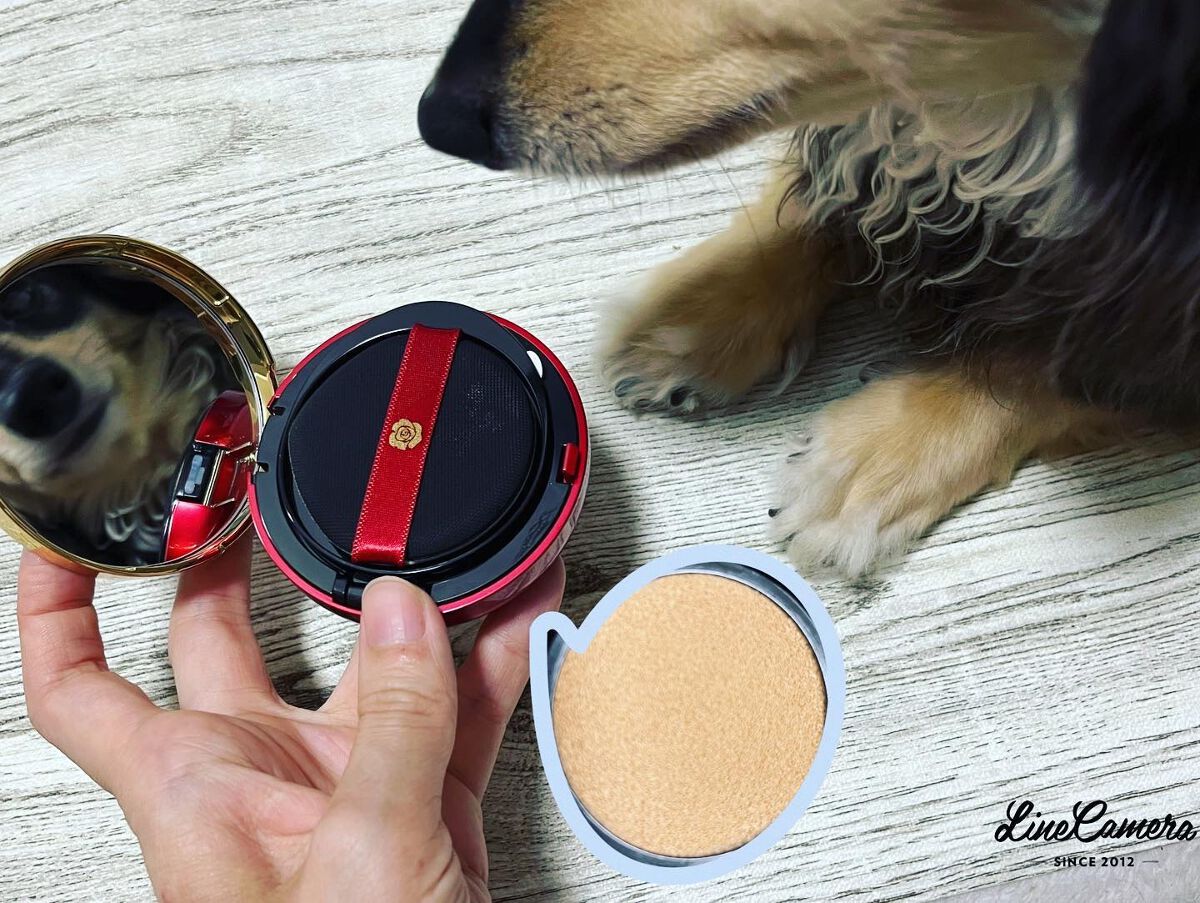 アルーチェルーチェ クッションファンデーション/Aluce luce/クッションファンデーションを使ったクチコミ（3枚目）