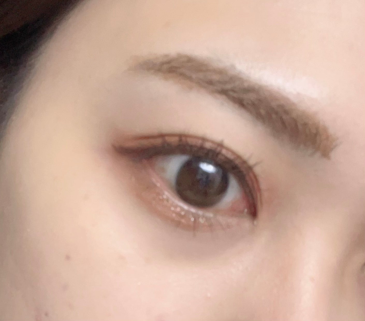 ビタートーンアイシャドウ/CEZANNE/パウダーアイシャドウを使ったクチコミ(2枚目)