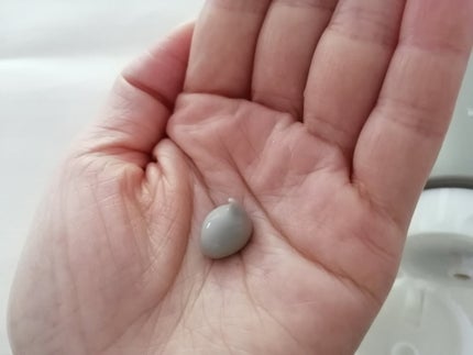 クレイ W クレンズ/アンテリージェEX/クレンジングクリームを使ったクチコミ(3枚目)