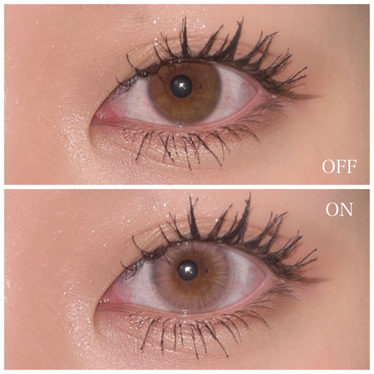 ブロー(Blow) サンセットピンク(Sunset Pink)/OLOLA/カラーコンタクトレンズを使ったクチコミ（3枚目）