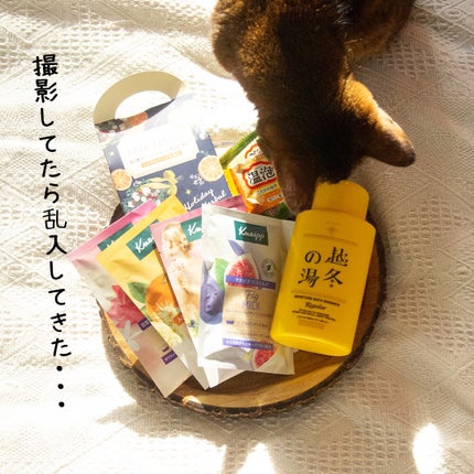 バスミルク イチジクミルクの香り/クナイプ/保湿系入浴剤を使ったクチコミ(6枚目)