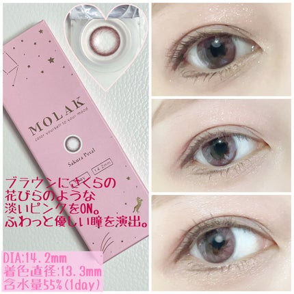 MOLAK 1day/MOLAK/ã¯ã³ããŒïŒïŒDAYïŒã«ã©ã³ã³ã䜿ã£ãã¯ãã³ãïŒ2æç®ïŒ