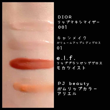 リップ プランピング グロス/e.l.f. Cosmetics/リップグロスを使ったクチコミ（2枚目）