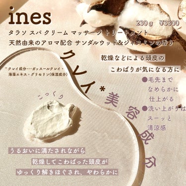 ジェントル スクラブ クレンズ/ines/シャンプー・コンディショナーを使ったクチコミ（3枚目）