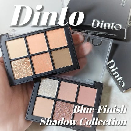 ブラーフィニシュシャドウパレット/Dinto/アイシャドウパレットを使ったクチコミ(1枚目)