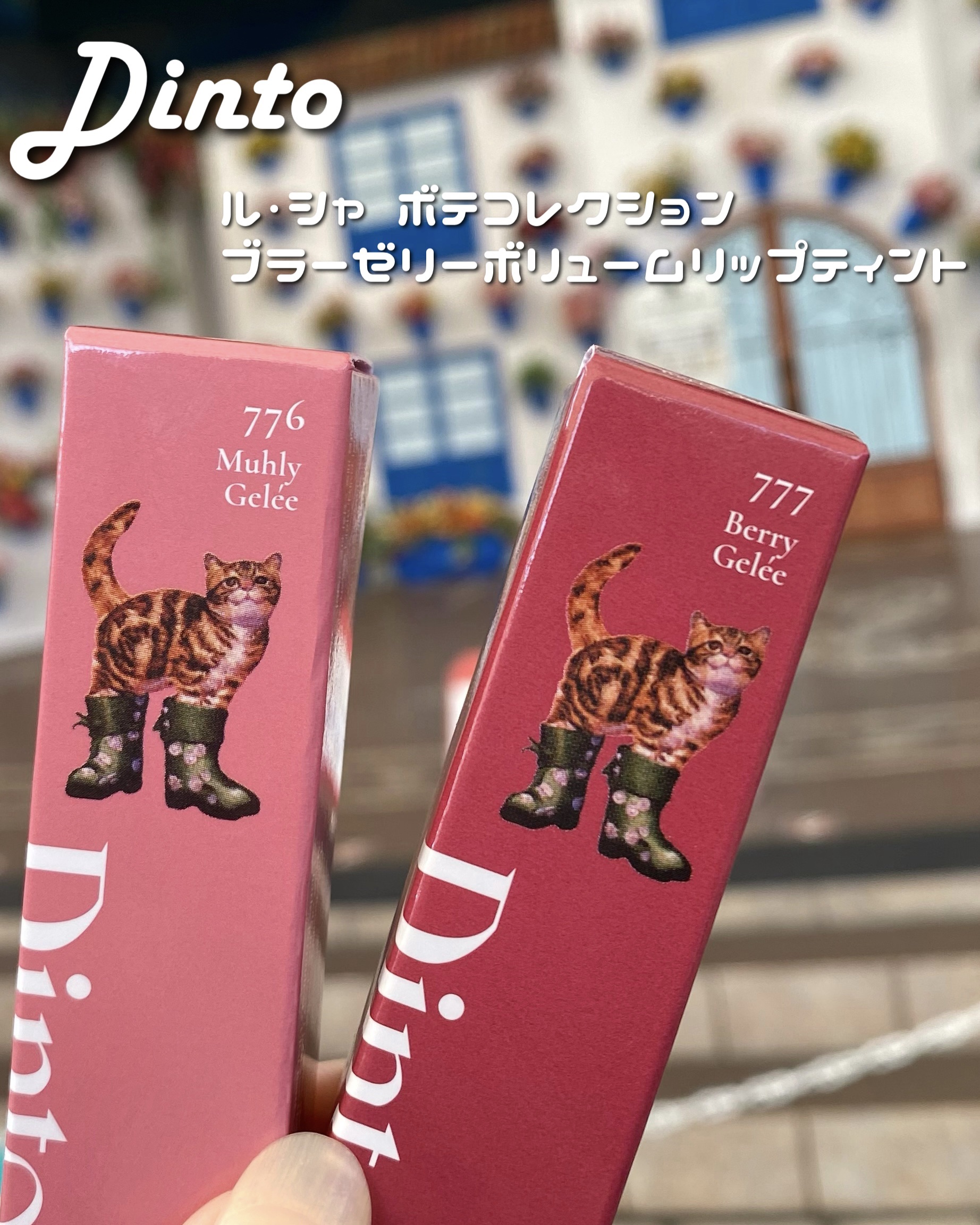 （ル・シャ ボテコレクション）ブラーゼリーボリュームリップティント/Dinto/リップティントを使ったクチコミ（2枚目）