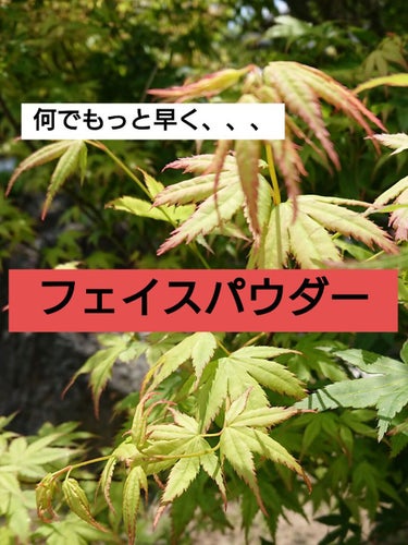 【可愛いだけじゃない乾燥肌さん向けパウダー】

見ためが可愛いだけで中身はどうなの？

ぶっちゃけ私も最初そう思ってました

が

買う前に色々調べてみたらあのジルスチュアートとCOSME DECORT