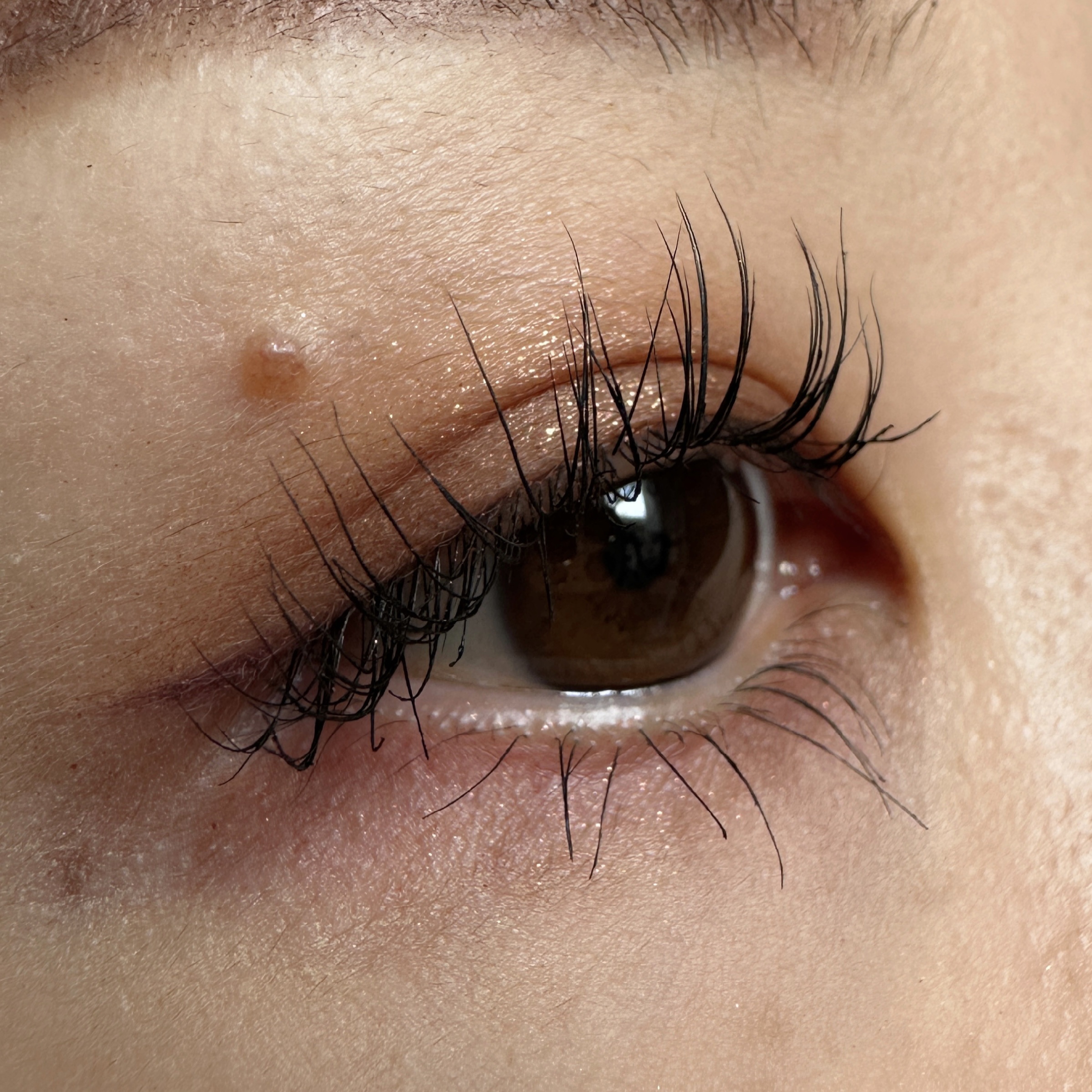 Allday Everyday Eyeliner/Melt Cosmetics/ペンシルアイライナーを使ったクチコミ（2枚目）