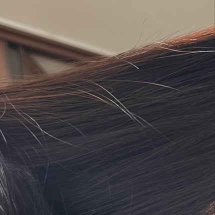 for U シャンプー・トリートメントセット/MQURE/市販シャンプーを使ったクチコミ(5枚目)