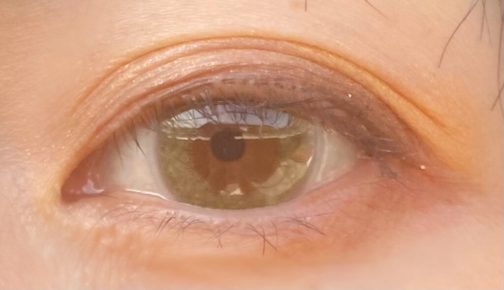 JILL STUART 1day UV/JILL STUART/ワンデー(1DAY)カラコンを使ったクチコミ(6枚目)