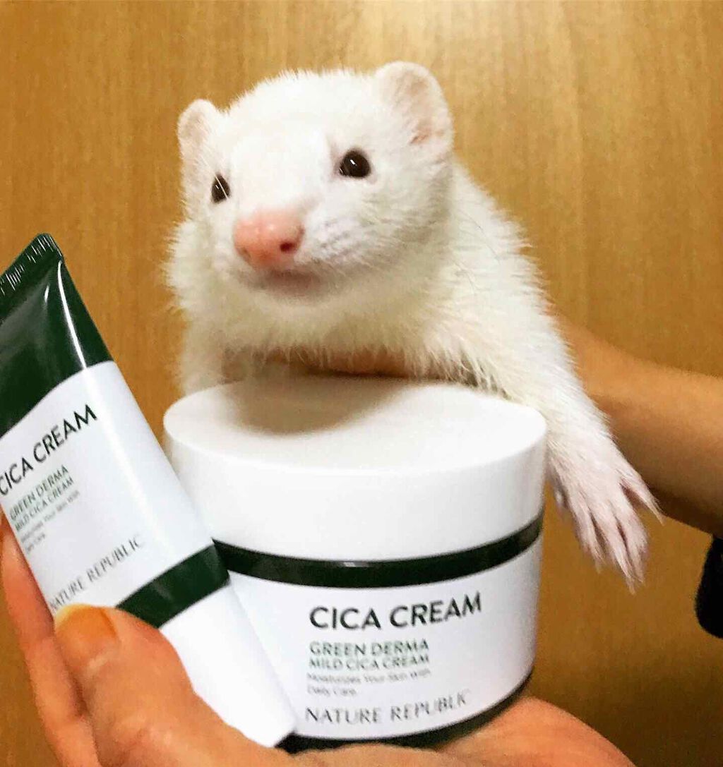 グリーン ダーマ マイルド クリーム/ネイチャーリパブリック/フェイスクリームを使ったクチコミ（2枚目）