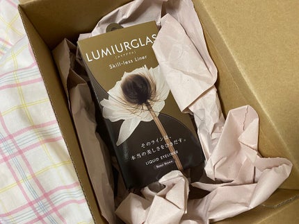 スキルレスライナー/LUMIURGLAS/リキッドアイライナーを使ったクチコミ(3枚目)