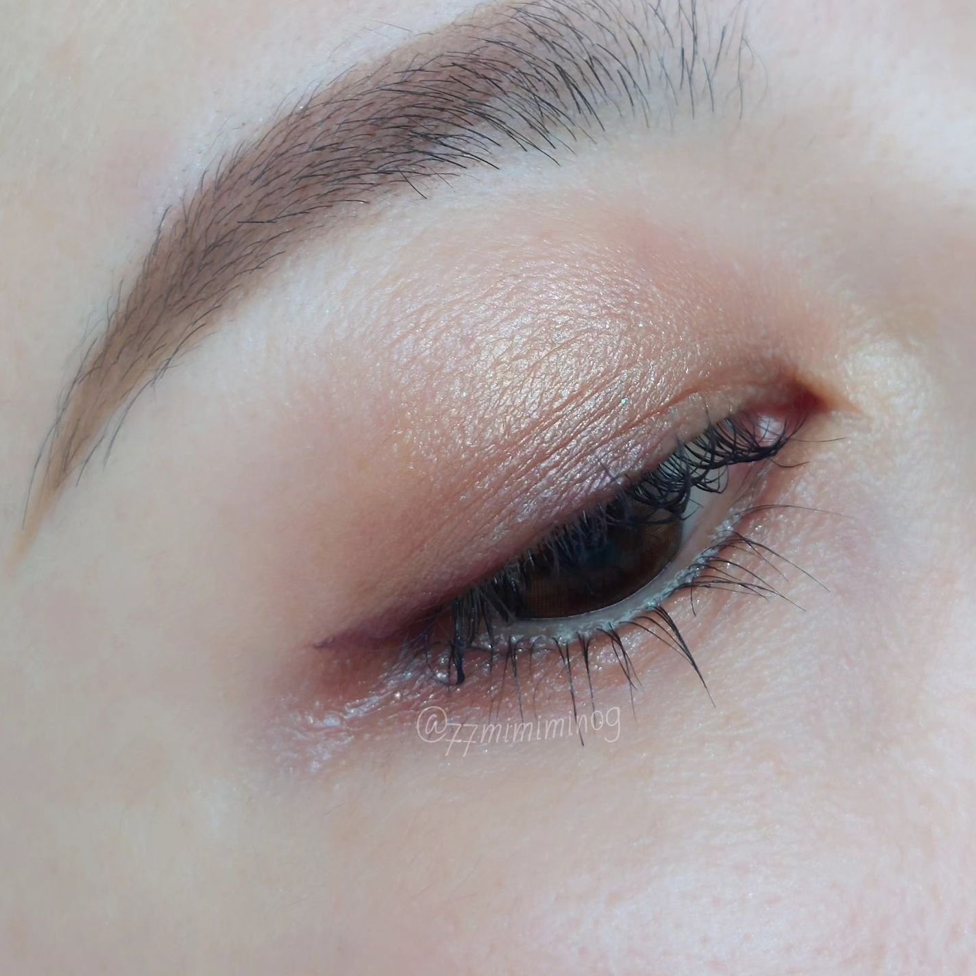 シグニチャー カラー アイズ/SUQQU/アイシャドウパレットを使ったクチコミ(5枚目)