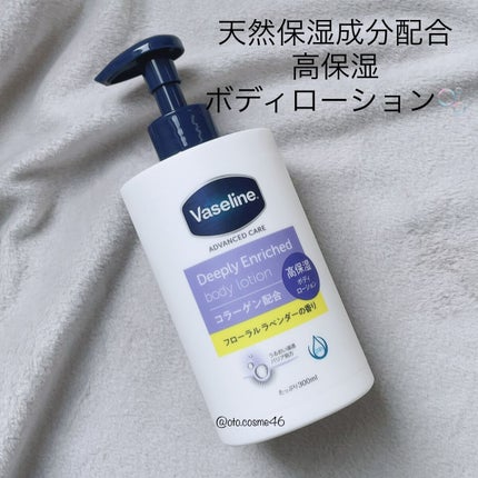 ãã£ãŒããªãŒãšã³ãªããã ããã£ããŒã·ã§ã³ ãããŒã©ã«ã©ãã³ããŒã®éŠã/ãŽã¡ã»ãªã³/ããã£ããŒã·ã§ã³ã䜿ã£ãã¯ãã³ãïŒ1æç®ïŒ