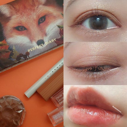 エクスプローラ12色 動物アイシャドウパレット/PERFECT DIARY/アイシャドウパレットを使ったクチコミ(6枚目)