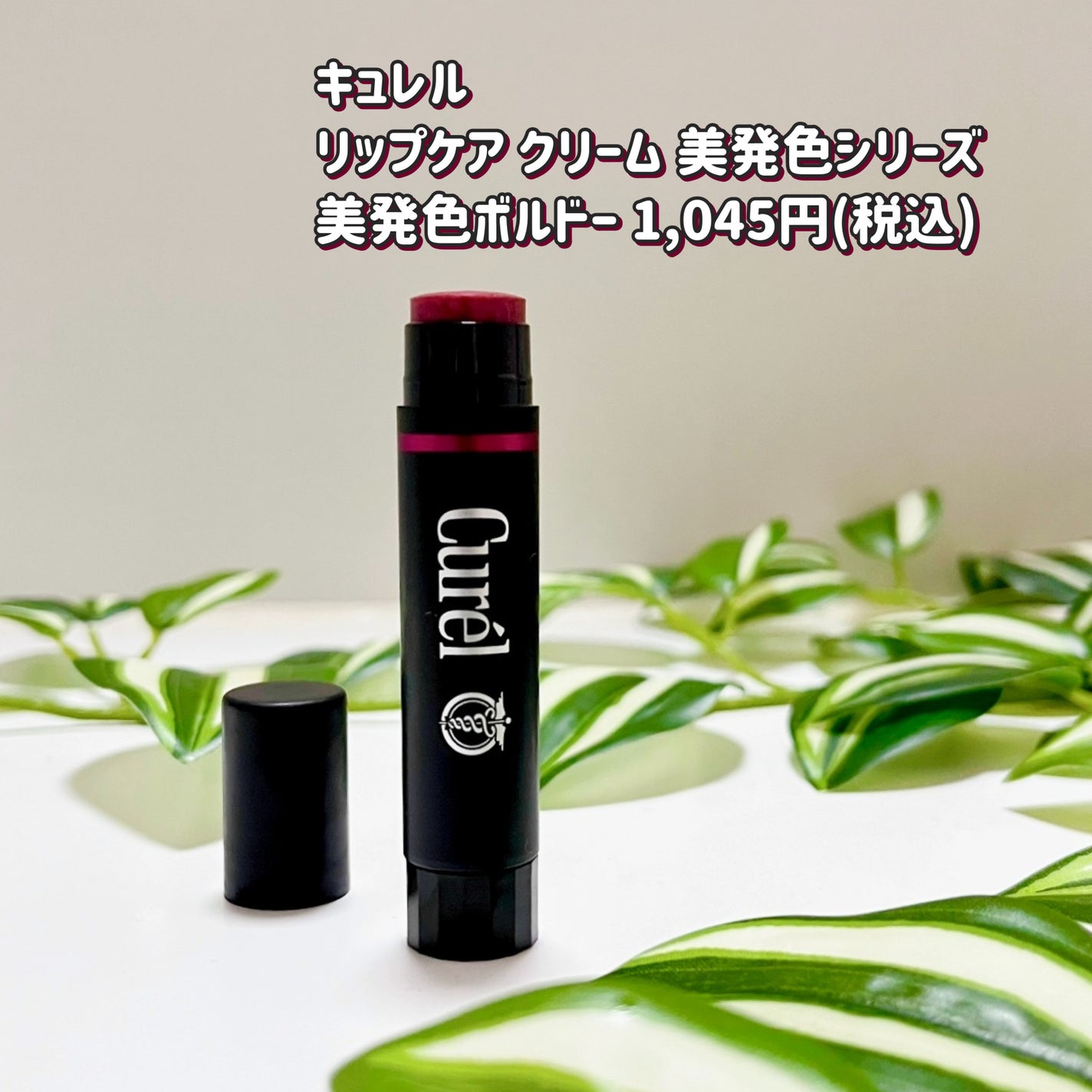 リップケア クリーム(美発色シリーズ)/キュレル/リップクリームを使ったクチコミ(2枚目)