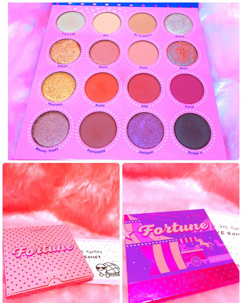 フォーチュンパレット/ColourPop/アイシャドウパレットを使ったクチコミ(1枚目)