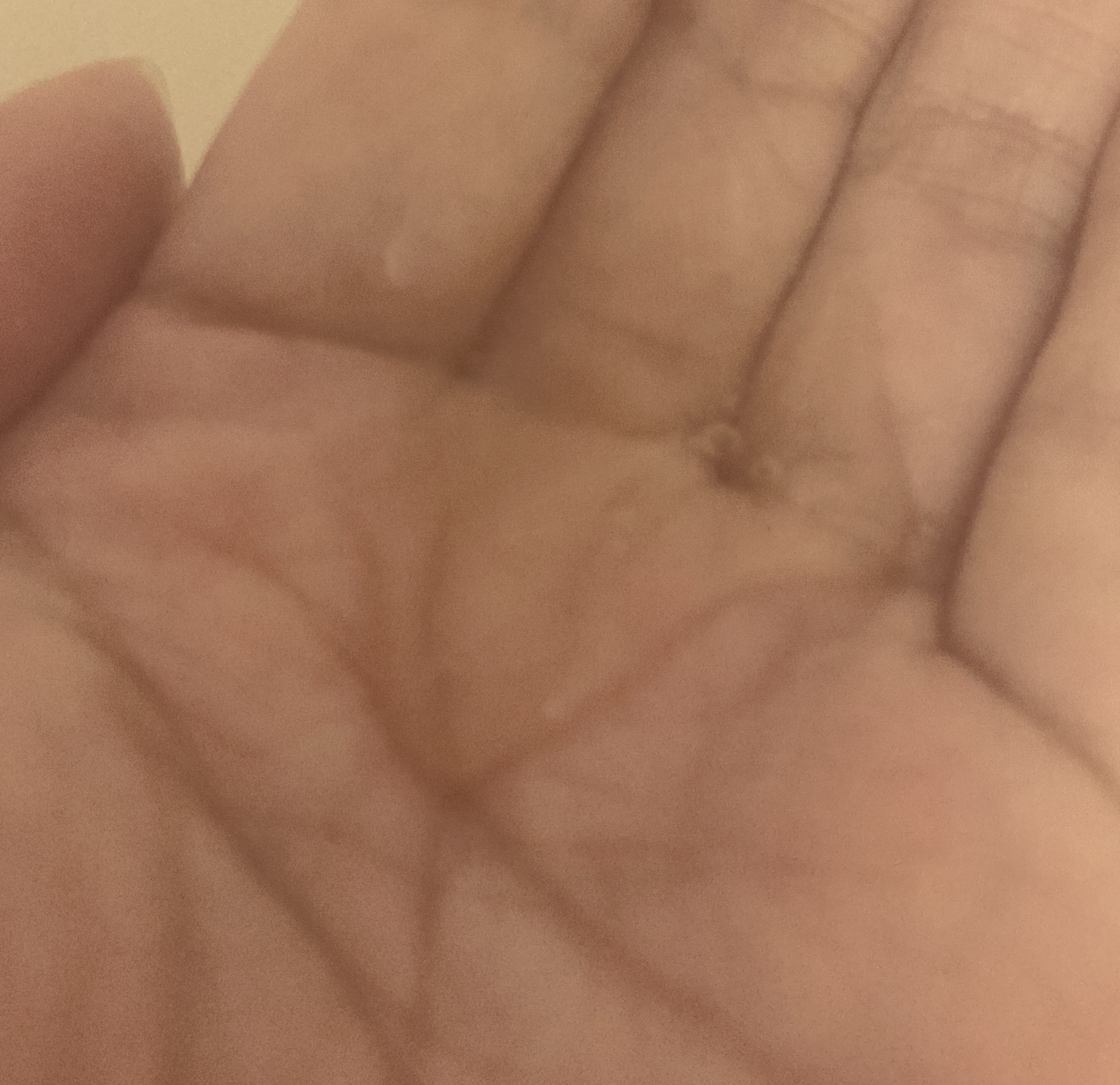 エッセンシャルプレミアム バリアシャンプー・コンディショナー シルキー＆スムース/エッセンシャル/市販シャンプーを使ったクチコミ（2枚目）