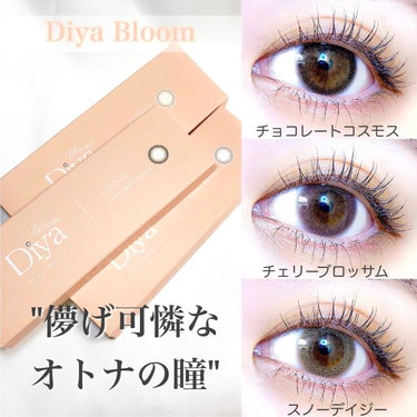 Diya Bloom UVモイスト/Diya/カラーコンタクトレンズを使ったクチコミ（1枚目）