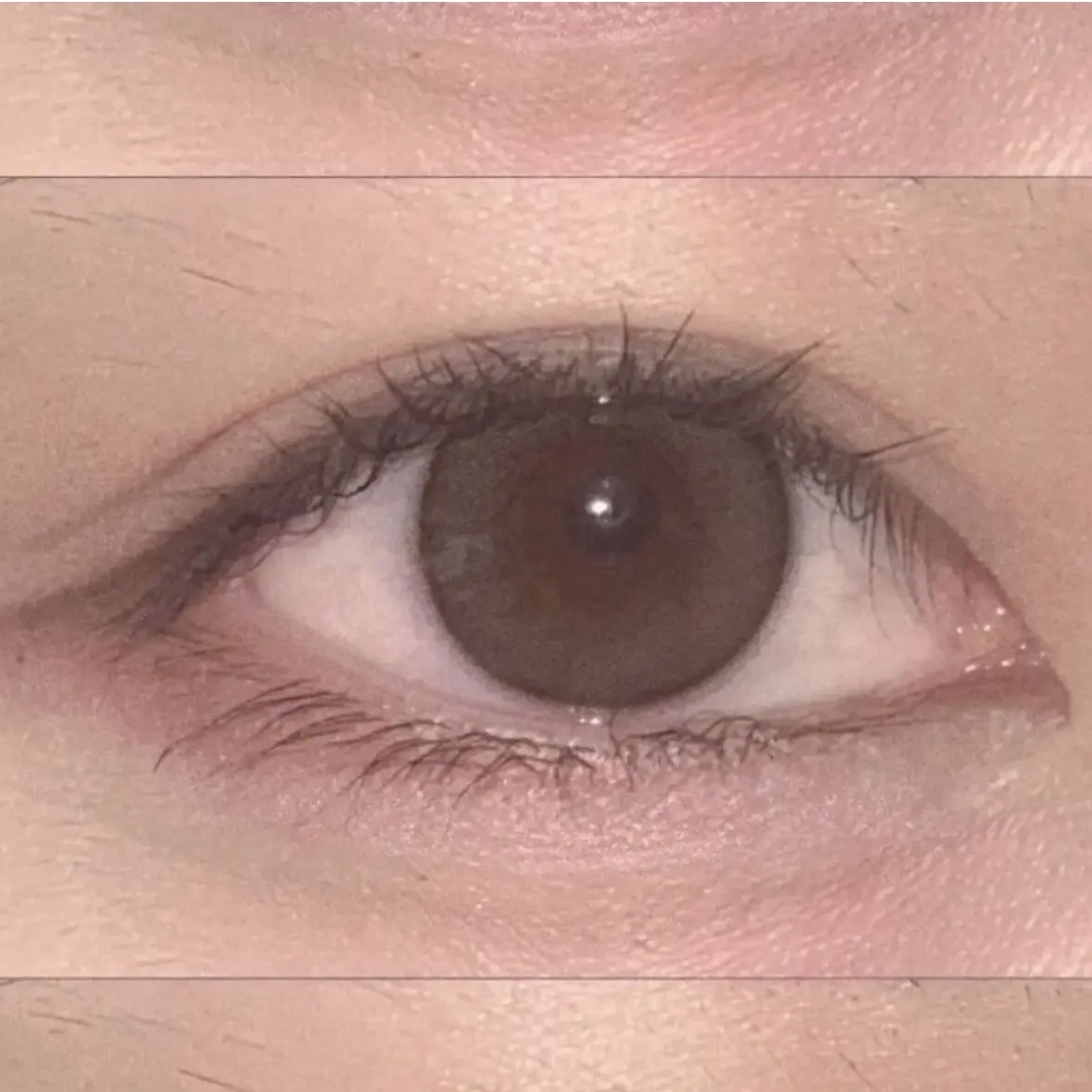 エバーカラーワンデー ナチュラル/エバーカラー/ワンデー（１DAY）カラコンを使ったクチコミ（2枚目）